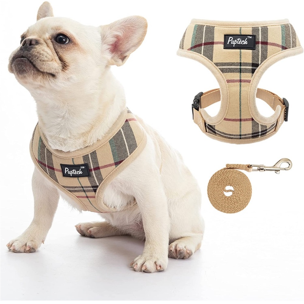Dog-cat harness and leash